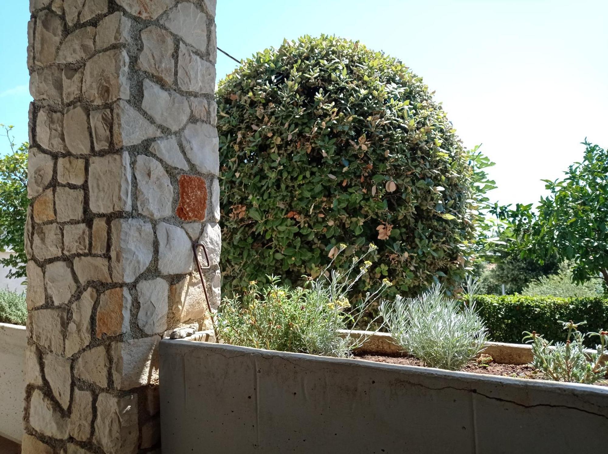 Apartments Pero Kožino Εξωτερικό φωτογραφία